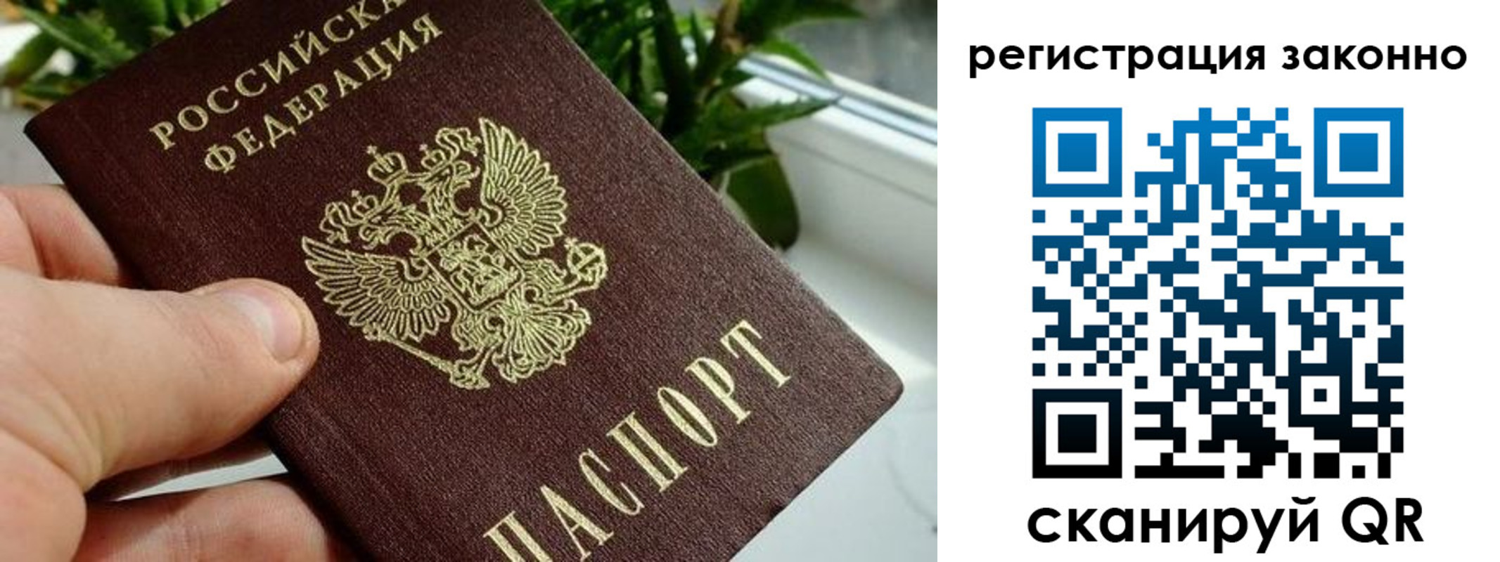 прописка гарантия в Приморском крае